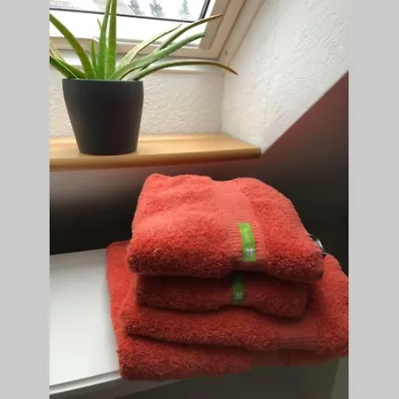 Komfortferienwohnung Harzglueck auf 2 Etagen Hohegeiß Exterior foto
