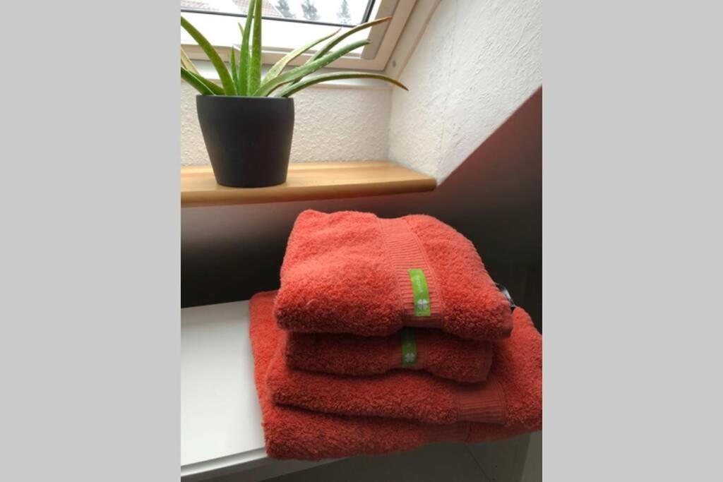 Komfortferienwohnung Harzglueck Auf 2 Etagen Apartment