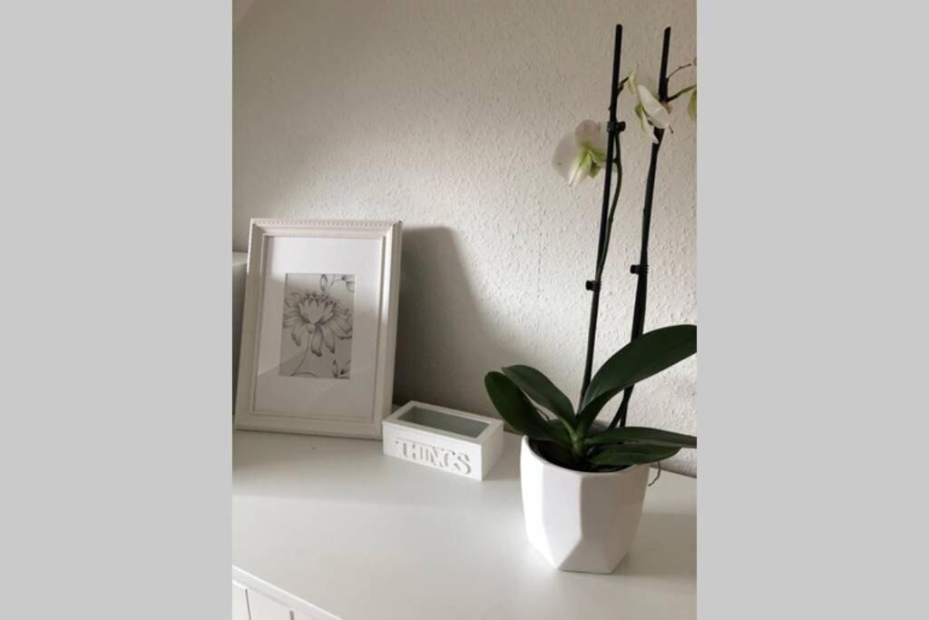 Komfortferienwohnung Harzglueck Auf 2 Etagen Apartment Hohegeiss